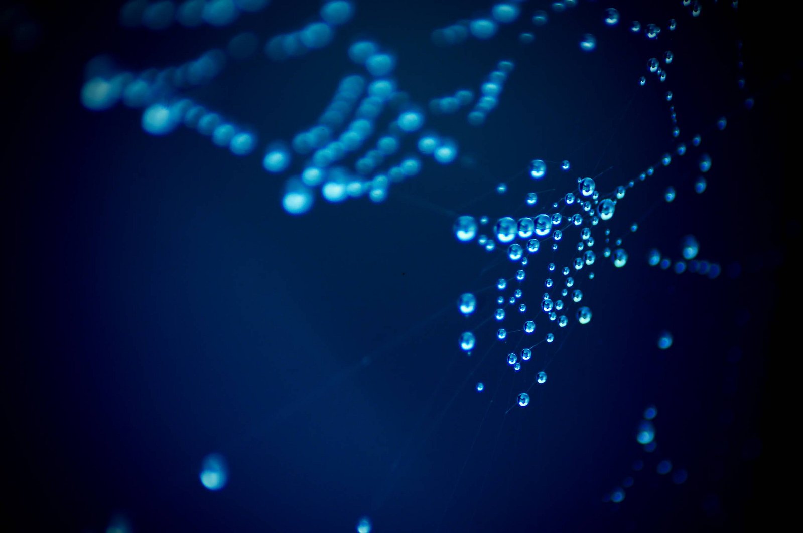 Tapety pro Ubuntu 14.04