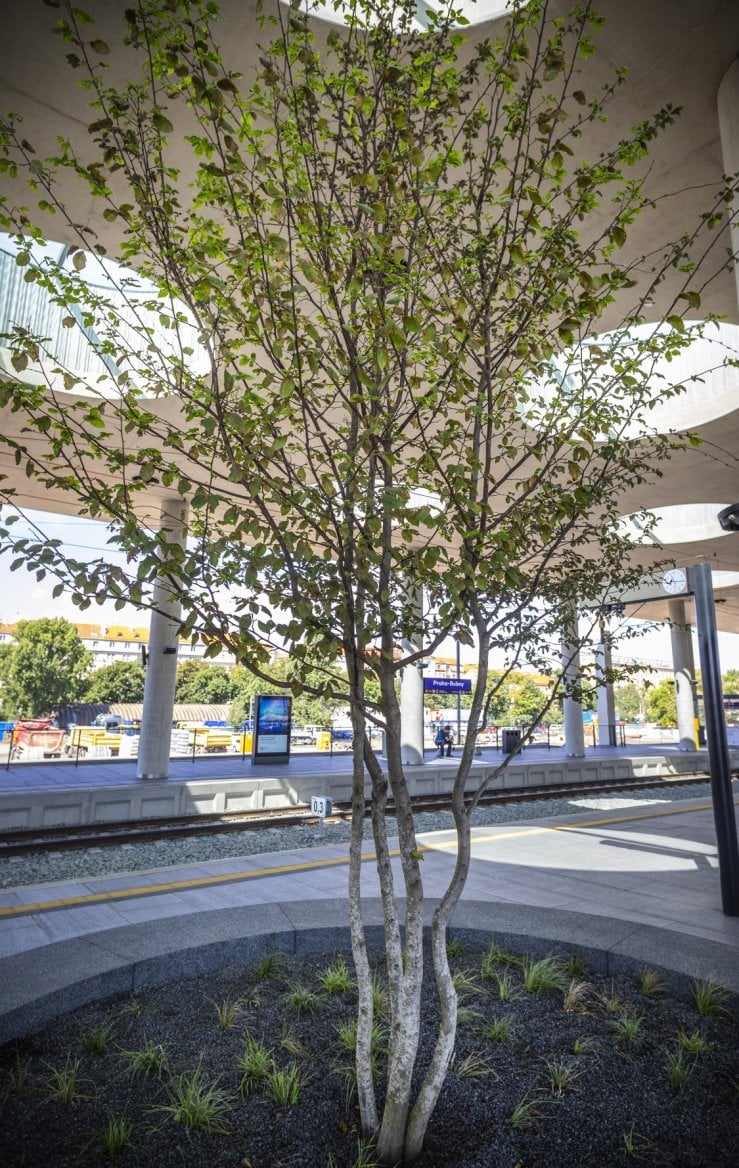 Nové nádraží Praha‑Bubny