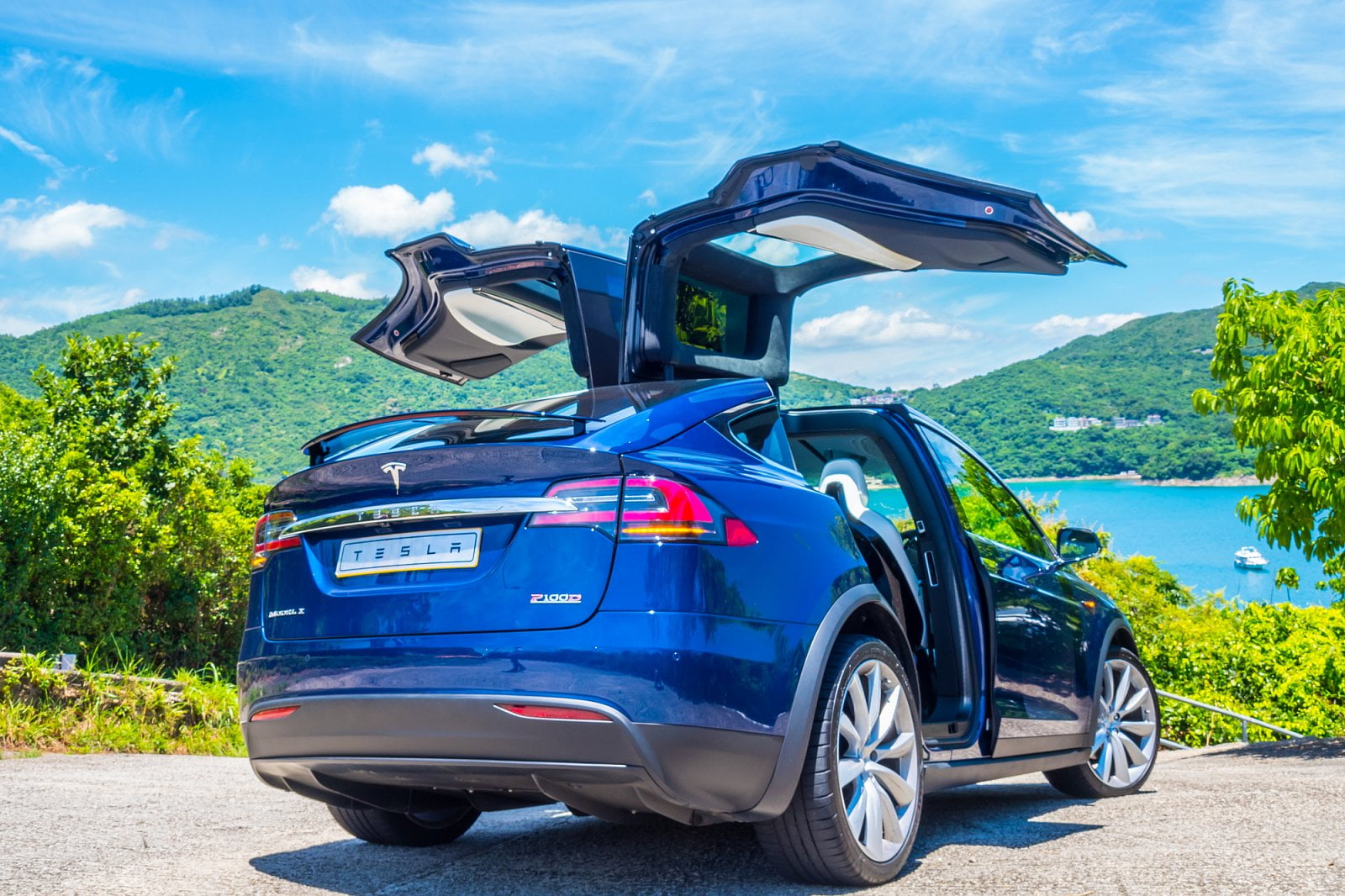 V Česku můžete Model X pořídit třeba na operativní leasing. Například společnost Amilo Car nabízí vůz ve variantě 90D s dojezdem až 410 kilometrů za 71 390 korun (59 000 Kč bez DPH) měsíčně. V bazarech se pak ta samá (ojetá) verze dá v Česku pořídit zhruba od 2,4 milionu korun, nájezd začíná od zhruba 50 tisíc kilometrů.