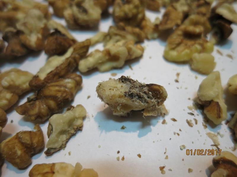 An Le Thi, Ústí nad Labem: Vlašská jádra - potravina zapáchala po kažení - žluknutí tuků. Uvnitř balení byl zjištěn živý škůdce a stopy po činnosti škůdců - pavučinky a požer. Byl zjištěn výskyt živých (krabice s potravinou) i mrtvých (regál) škůdců v blízkosti potraviny.