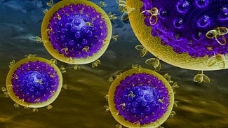 Náhledový obrázek - Virus HIV podle vědců ztrácí sílu, je prý i méně infekční