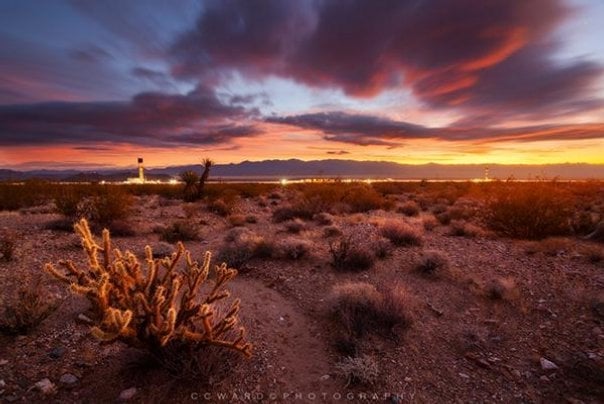 2012-09-ivanpah-solar-electric-generating-system-6.jpg