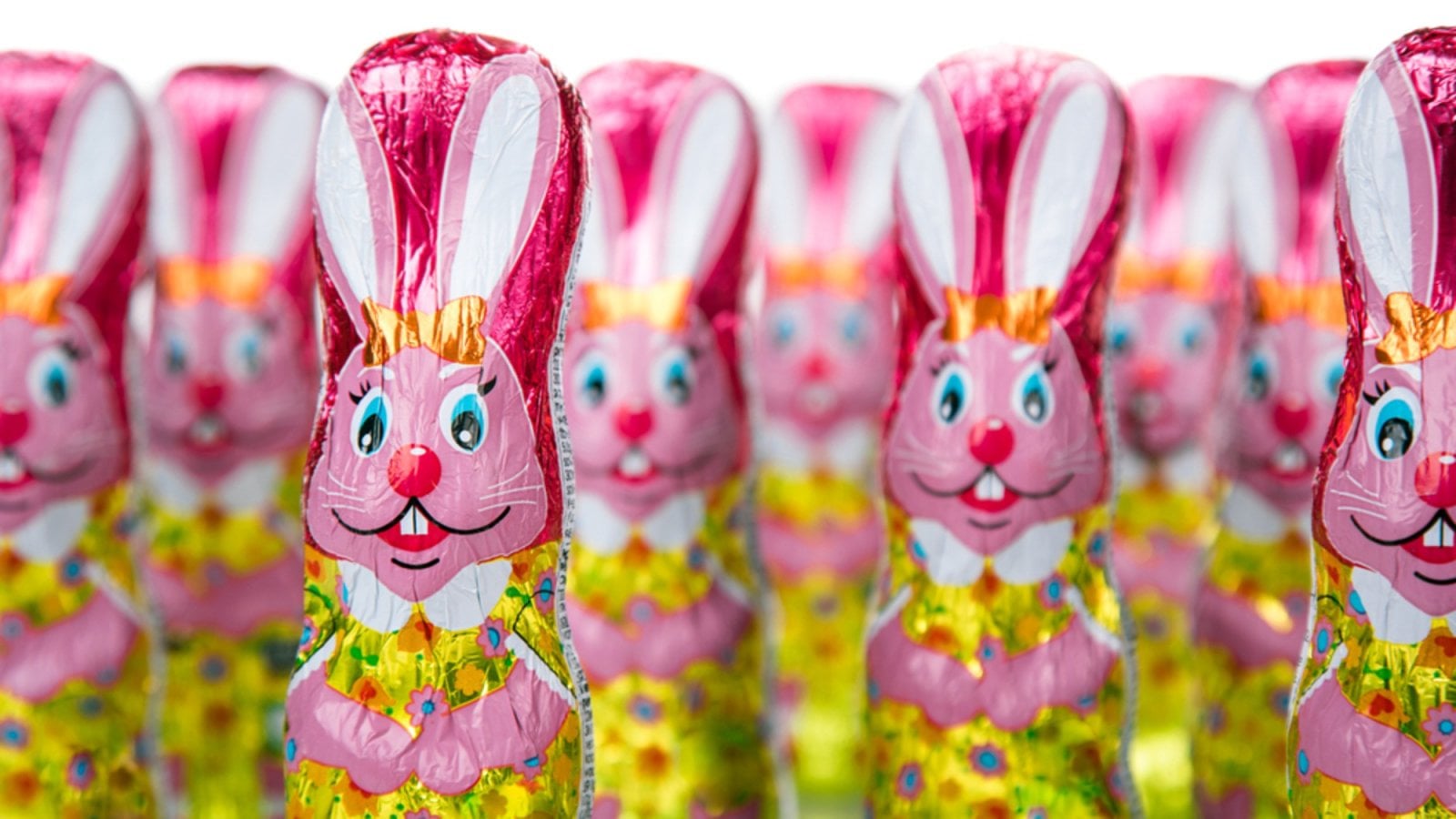 Figurky čokoládových zajíců