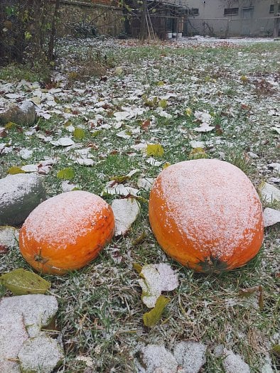 Hlavní fotoaparát (zdroj: Cnews)