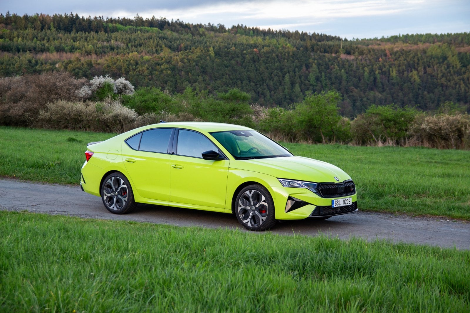 Test: Octavia RS