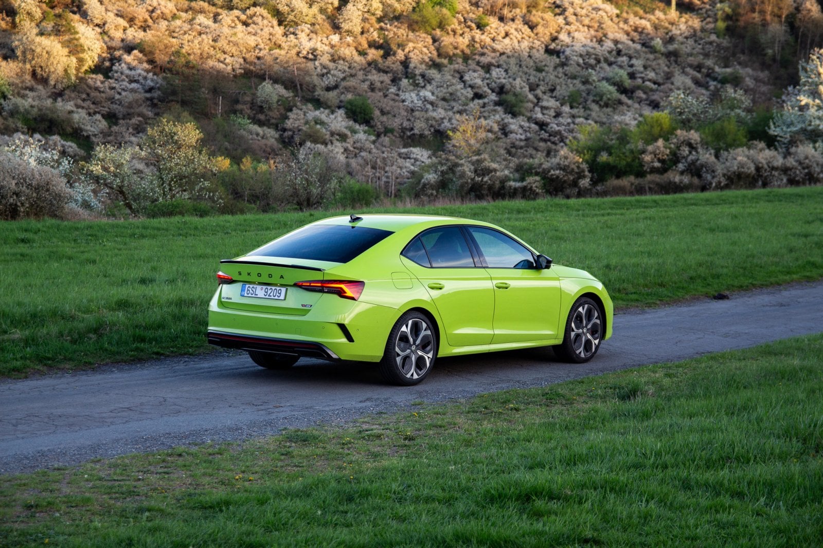 Test: Octavia RS