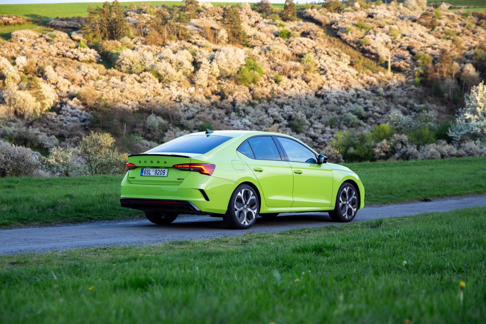 Test: Octavia RS