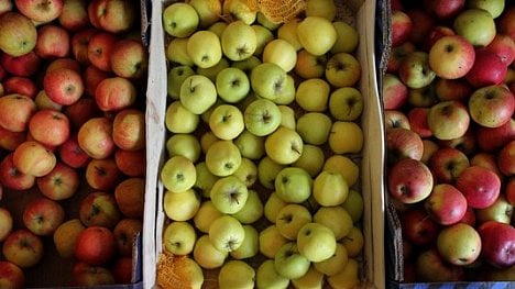 Náhledový obrázek - Varování dodavatelů: Evropě hrozí nedostatek čerstvého ovoce a zeleniny