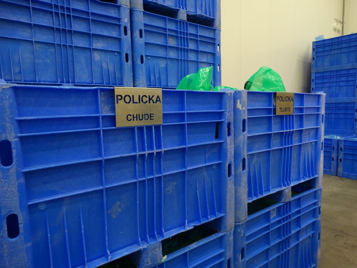 Veškeré české maso dodává McDonaldu masokombinát Polička