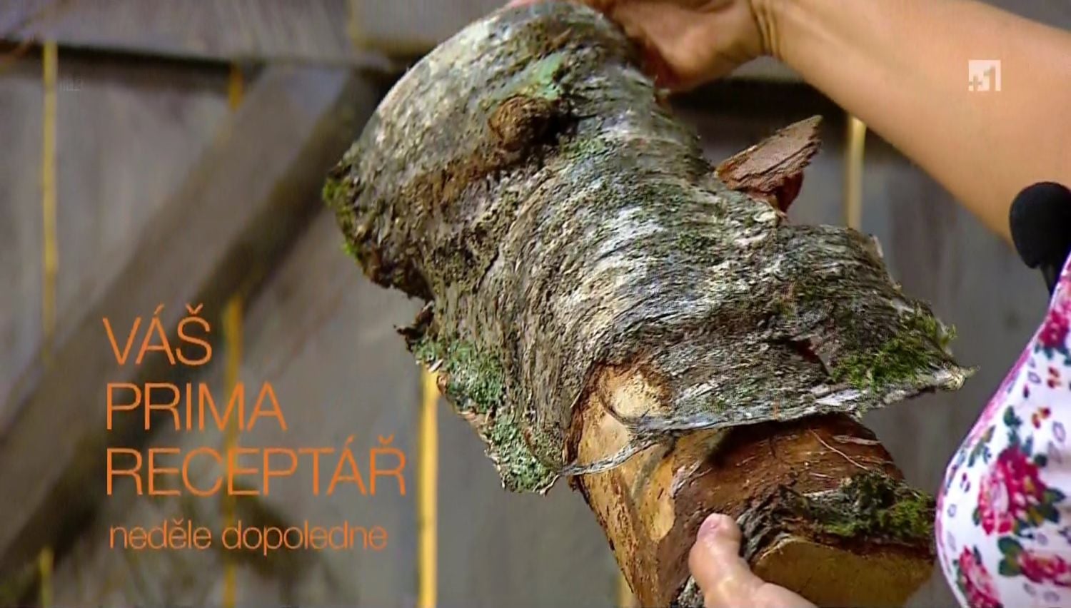 Nové hvězdy na satelitním nebi 7. až 8. prosince