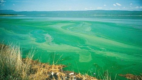 Náhledový obrázek - Solárníci proti sinicím. Photon Energy začala čistit české přehrady pomocí ultrazvuku