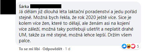 Podnikatelé a rok s koronavirem