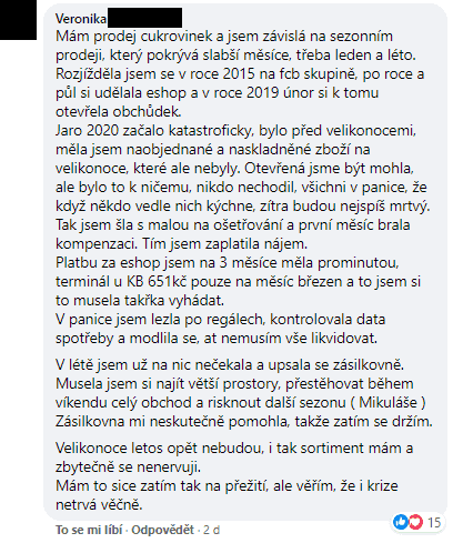 Podnikatelé a rok s koronavirem