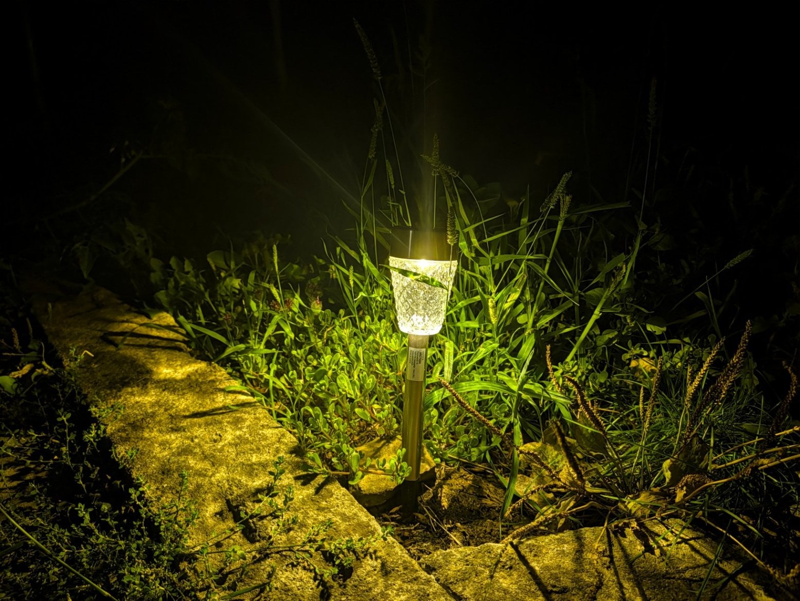 Pixel 11 Pro XL