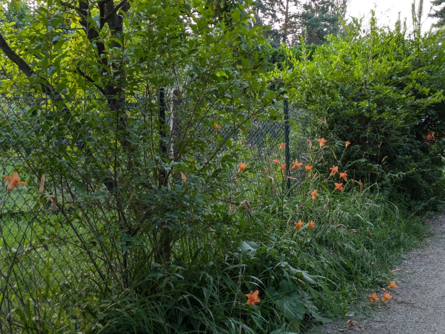 2,5násobý digitální zoom