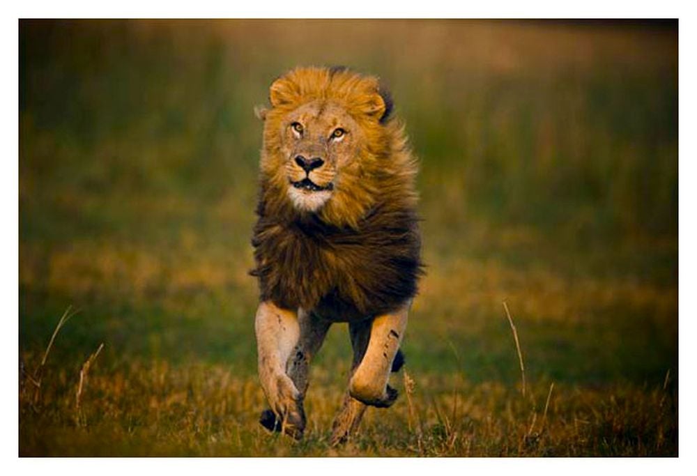 Prima Zoom, přelom listopadu a prosince 2017