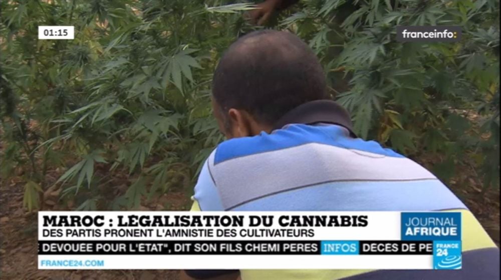 Nejzajímavější satelitní kanály v září 2016