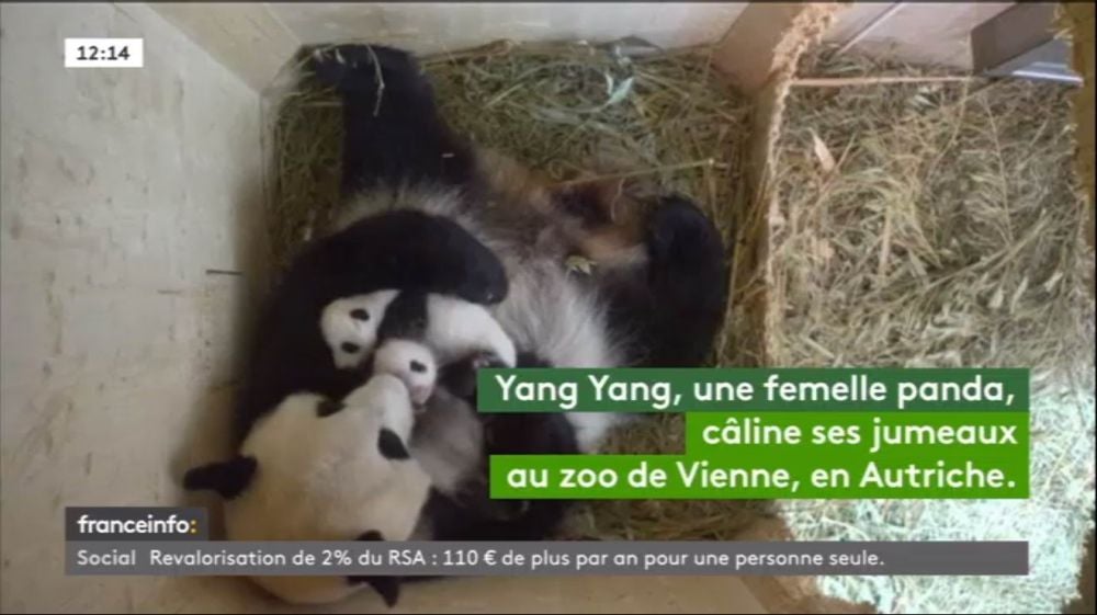 Nejzajímavější satelitní kanály v září 2016