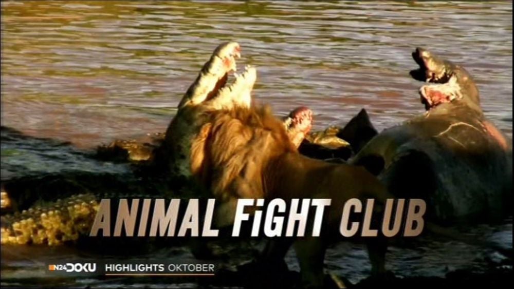 Nejzajímavější satelitní kanály v září 2016