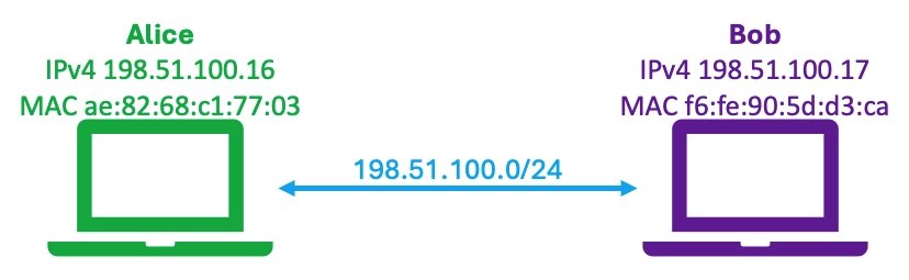 Komunikace přímo propojených uzlů - Alice a Boba.