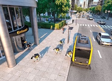 conti robodogs