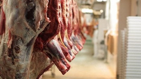 Náhledový obrázek - Do deseti let musí spotřeba masa začít klesat, nabádají vědci lidstvo