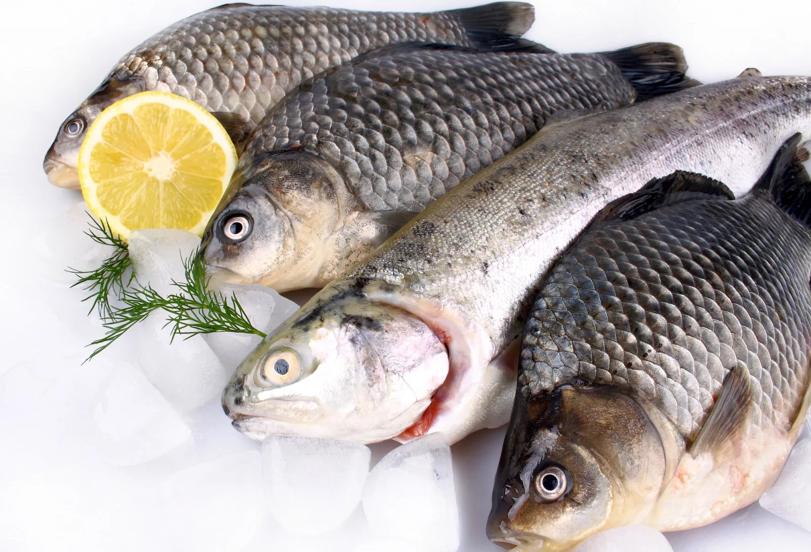 Co naopak při nízkocholesterolové dietě jíst? Dopřejte si především potraviny s vysokým obsahem omega-3 mastných kyselin. Najdete je zejména v rybách, jako je pstruh, losos nebo tuňák. Ty jezte alespoň 2x týdně.