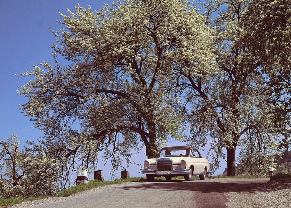 Mercedes-Benz - Koncernový výrobek pod rozkvetlými stromy – svým způsobem reklamní klišé, ale dodnes elegantní…