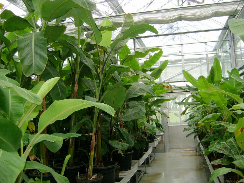 2019-02-centrum-regionu-hanc3a1-pro-biotechnologickc3bd-a-zemc49