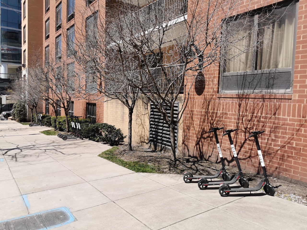 „Boom“ se sdílenými elektrickými koloběžkami v USA