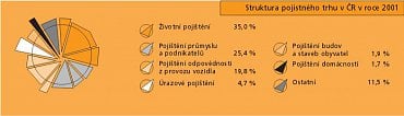 Struktura pojistného trhu v roce 2001.