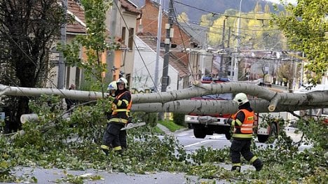 Náhledový obrázek - Škody po vichřici jdou do desítek milionů. Lesům ČR poničila milion kubíků dřeva