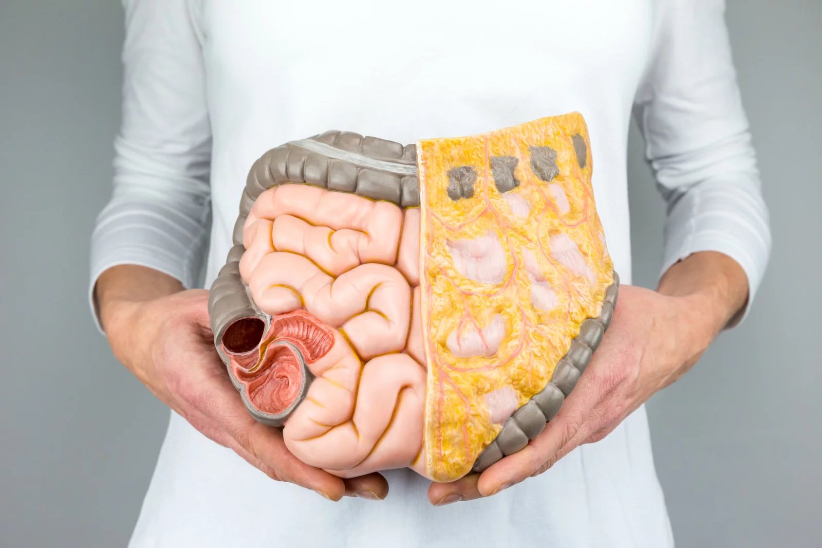 Vyšetření per rectum pohmatem lékař provádí v rámci prevence, ale i ve chvíli, kdy existuje podezření na rakovinu tlustého střeva a konečníku. Následují testy na přítomnost krve ve stolici a případně i kolonoskopie.