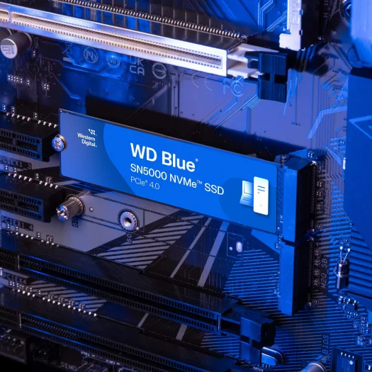 WD Blue SN5000