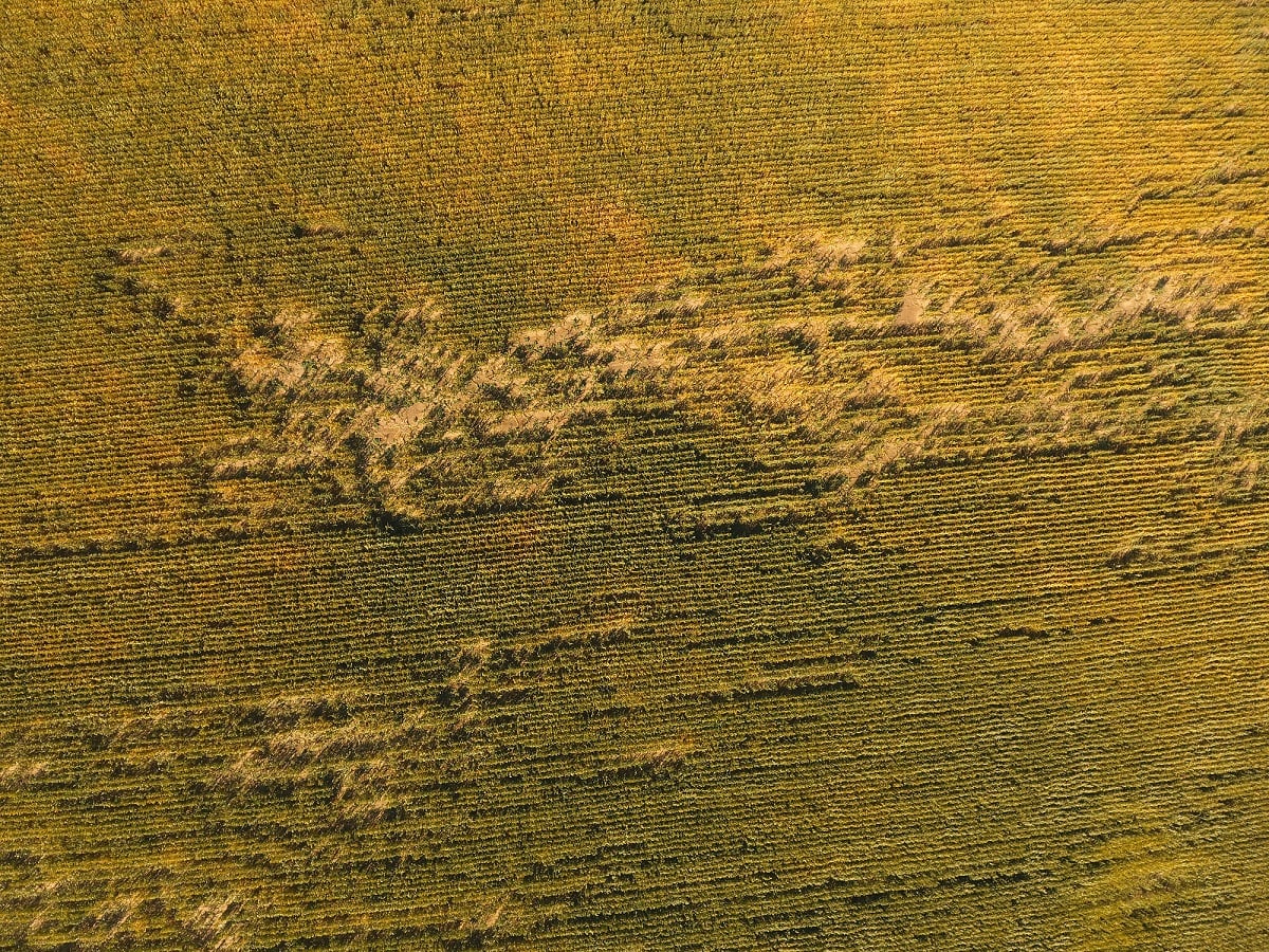 Likvidace pojistné události s dronem
