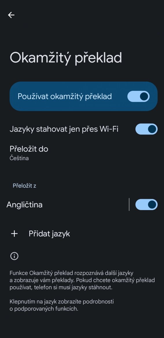 Okamžitý překlad pomůže v nejedné situaci