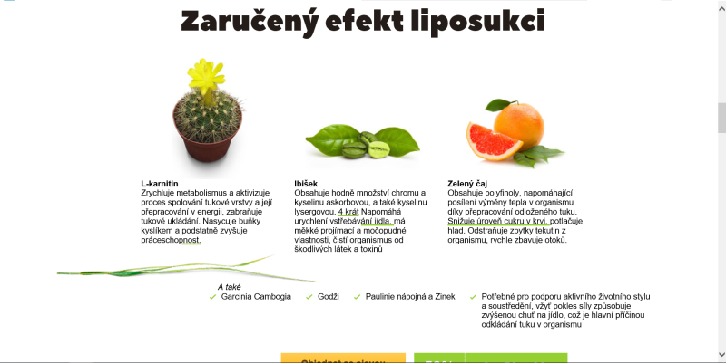 Rizikové weby