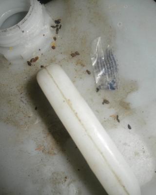 Česká hospoda, Vlašim