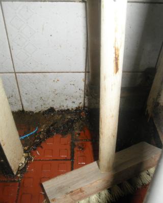 Česká hospoda, Vlašim