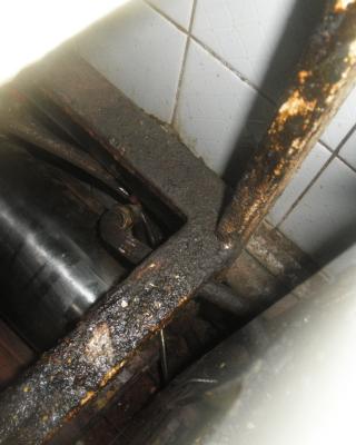 Česká hospoda, Vlašim