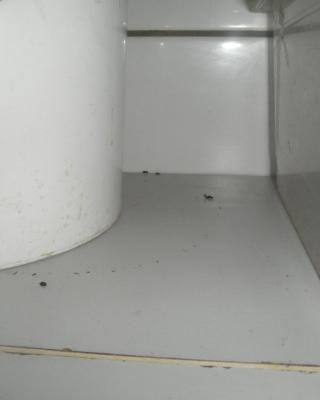 Česká hospoda, Vlašim