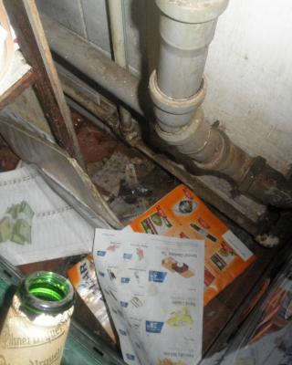 Česká hospoda, Vlašim