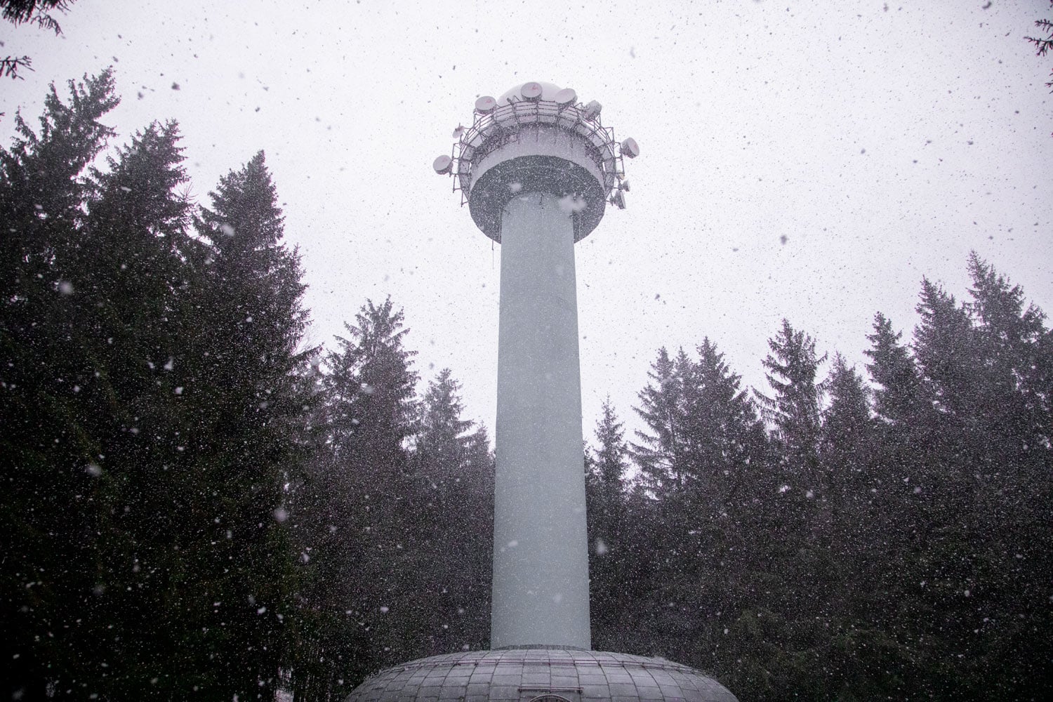 Začalo sněžit, počasí nám ukazuje všechny své podoby.