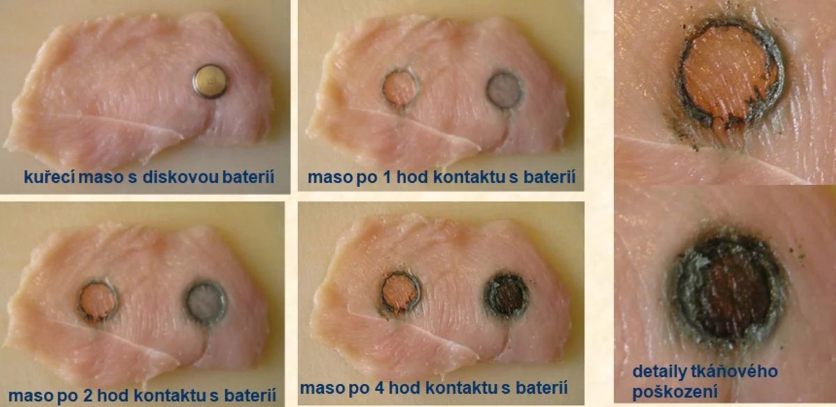 Jak rychle dokáže baterie poškodit svalovinu, ukazuje test na kuřecím mase.