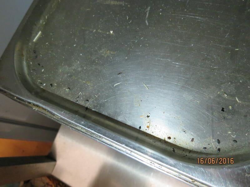 Restaurace DELTA, Trutnov -  Výskyt myšího trusu, provozovna nezabezpečená před pronikáním škůdců, nečistoty na podlaze, nečistoty na regálech či zařízeních, poškození stropu