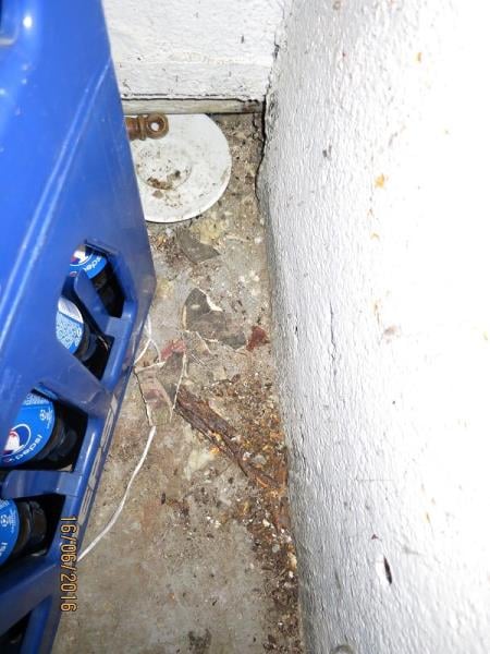 Restaurace DELTA, Trutnov -  Výskyt myšího trusu, provozovna nezabezpečená před pronikáním škůdců, nečistoty na podlaze, nečistoty na regálech či zařízeních, poškození stropu