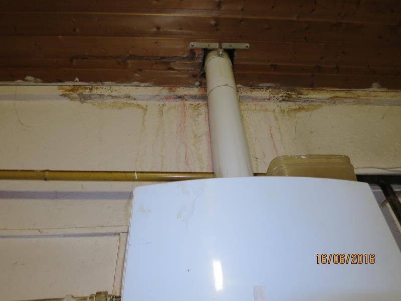 Restaurace DELTA, Trutnov -  Výskyt myšího trusu, provozovna nezabezpečená před pronikáním škůdců, nečistoty na podlaze, nečistoty na regálech či zařízeních, poškození stropu