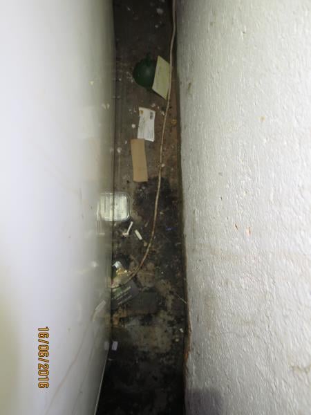 Restaurace DELTA, Trutnov -  Výskyt myšího trusu, provozovna nezabezpečená před pronikáním škůdců, nečistoty na podlaze, nečistoty na regálech či zařízeních, poškození stropu