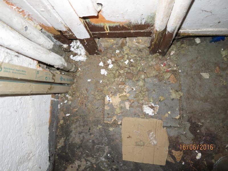 Restaurace DELTA, Trutnov -  Výskyt myšího trusu, provozovna nezabezpečená před pronikáním škůdců, nečistoty na podlaze, nečistoty na regálech či zařízeních, poškození stropu