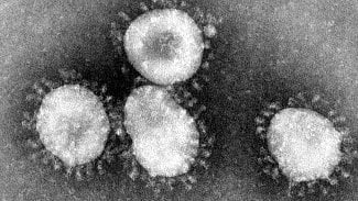 Náhledový obrázek - Odborníci nevědí, jak pravděpodobný je přenos koronaviru do Evropy